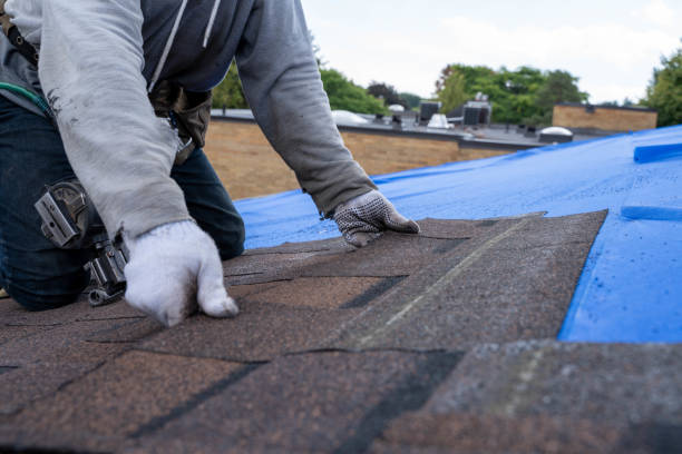 Best Roof Gutter Cleaning  in Ama, LA